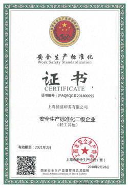 安全生產(chǎn)標(biāo)準(zhǔn)化證書2.jpg